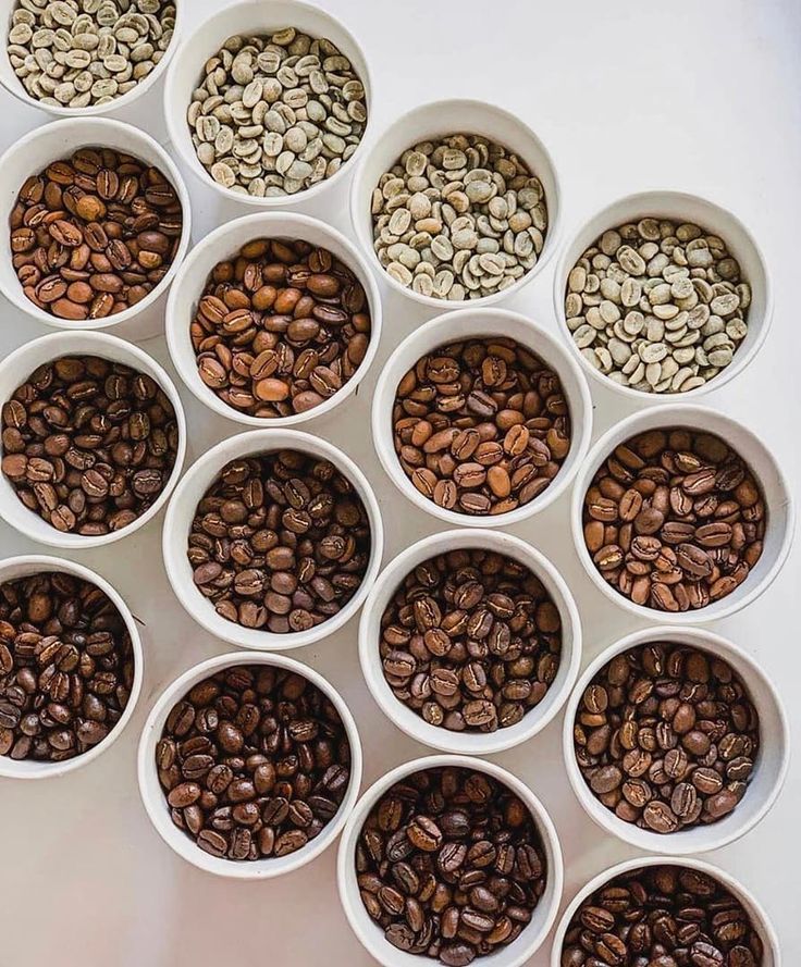 Premium Coffee Beans